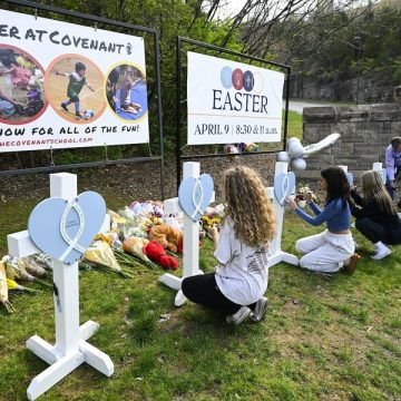 States’ responses to mass shootings: Party determines policy