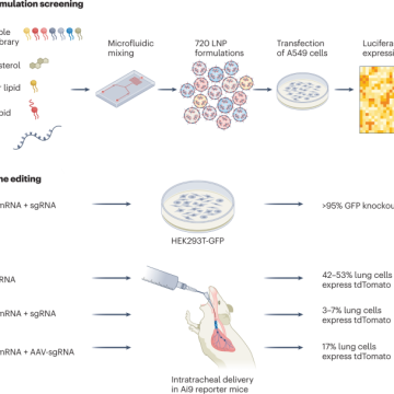 CRISPR editing in the lung with novel lipids