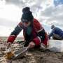 Plastic pollution is scourge of English coastal region