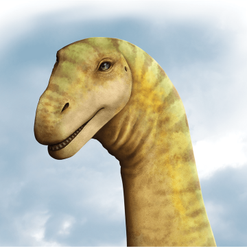 A rare, 95-million-year-old titanosaur skull found in Australia