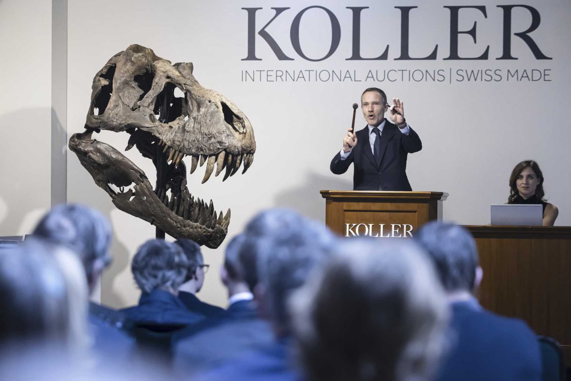 Belgian foundation to exhibit auctioned T. rex in Antwerp