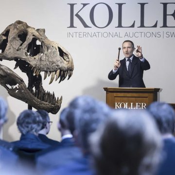 Belgian foundation to exhibit auctioned T. rex in Antwerp