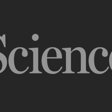 China bans electric capture of earthworms | Science