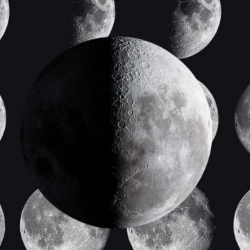 Look up and see the half-lit first quarter moon buzz the Beehive Cluster tonight