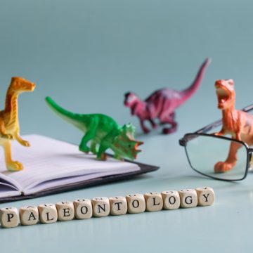 The Daunting Task of Measuring Dinosaur Intelligence