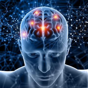 Limitless Possibilities – AI Technology Generates Original Proteins From Scratch