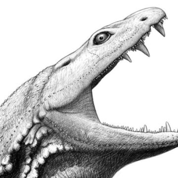 Scientists reveal face of 10-foot ‘killer tadpole’ that terrorized Earth long before the dinosaurs