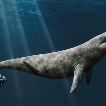 Fossils of Gigantic Pliosaur Uncovered in England