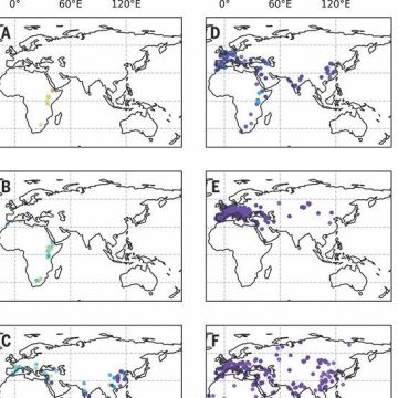 Human adaptation to diverse biomes over the past 3 million years | Science
