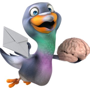 Bird-Brained AI: Pigeons and Artificial Intelligence Share Surprising Learning Techniques