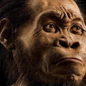 Was a small-brained human relative the world’s first gravedigger—and artist?