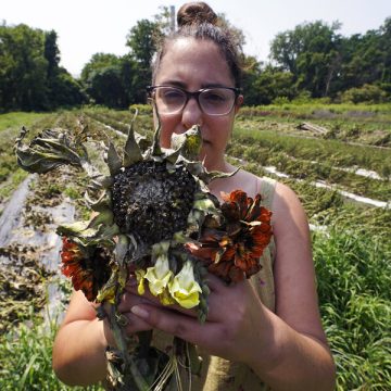 Farmers face floods, lost crops, and too little time to replant