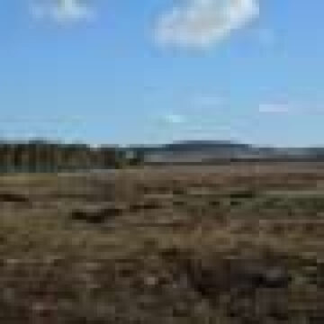 Peatlands were drained for agriculture. Now researchers are trying to restore them