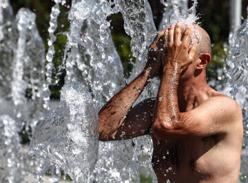 Hottest Survivable Temperatures Are Lower Than Expected