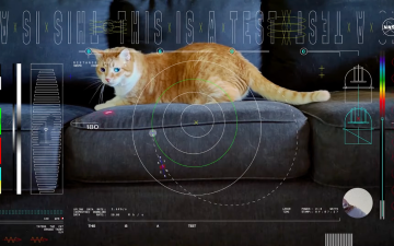 Taters the cat stars in first ‘ultra-HD’ video sent from deep space