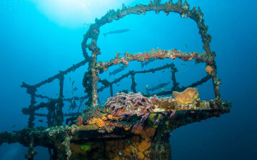 Not all underwater reefs are made of coral