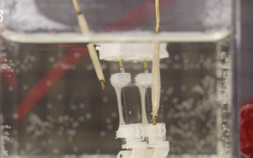 Watch this cool, useless biohybrid robot take a stroll