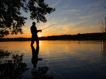 Our Human Ancestors Started Hauling Fish Out of the Water 2 Million Years Ago