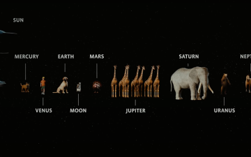 Uranus is a grizzly bear: Understanding planet mass using animals