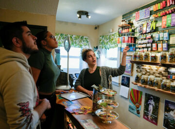 Marijuana set to become ‘less dangerous’ in the US. What does that mean?
