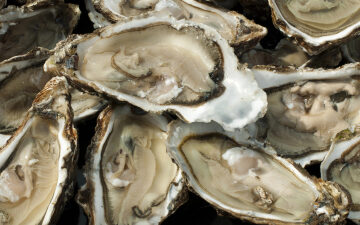 Climate change is coming for your oysters