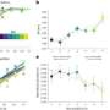 Experiments reveal that image memorability can sharpen our sense of time