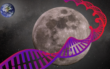 Can the moon help preserve Earth’s endangered species?