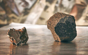 Building blocks of life on Earth originate from a relatively small amount of source material