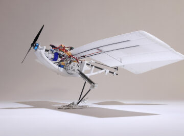 This bird-inspired drone is more energy efficient and proficient at complex flight maneuvers