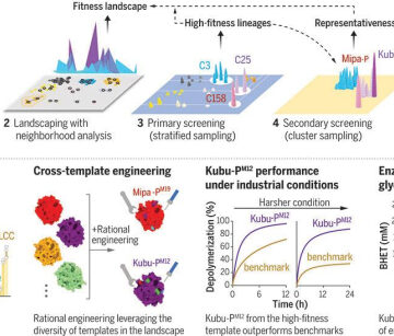 Landscape profiling of PET depolymerases using a natural sequence cluster framework | Science
