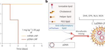 Improving the safety of lipid nanoparticle-based DNA delivery for extended gene expression