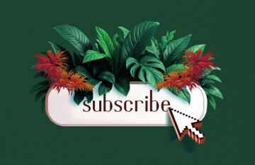 How publishers like Texas Monthly and Axios turn engagement data