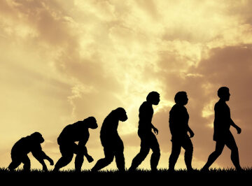 There’s a place where humans are evolving right before our eyes