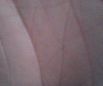 developer-test-article-003.png DEVELOPER TEST ARTICLE 003