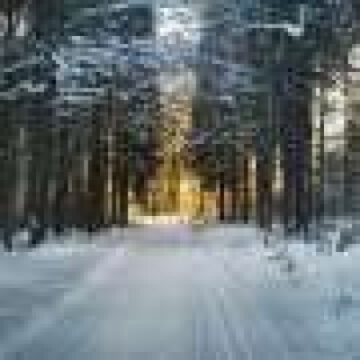 Polar vortex patterns explain shifting US winter cold despite warming climate