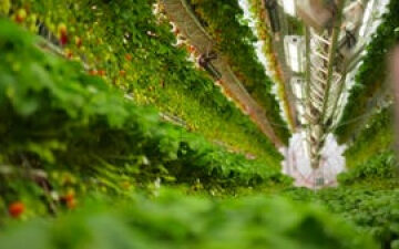 Dyson Reveals Futuristic Farming Vision