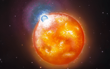 Cosmic bumper stars forge rare, hefty white dwarf