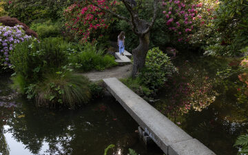Embracing Mother Nature’s City: Seattle