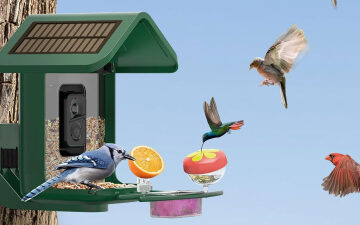 Make birdwatching easy and save $50 with this Onlyfly smart bird feeder camera from Amazon