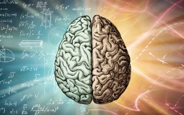 Autism may be the price of human intelligence