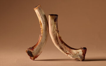 The scientific case for eating more bones