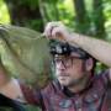 In echo of Jurassic Park, mosquitoes capture entire ecosystems in their blood meals