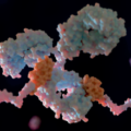 Now with oligos: antibody–oligonucleotide conjugates are the new drug modality to watch