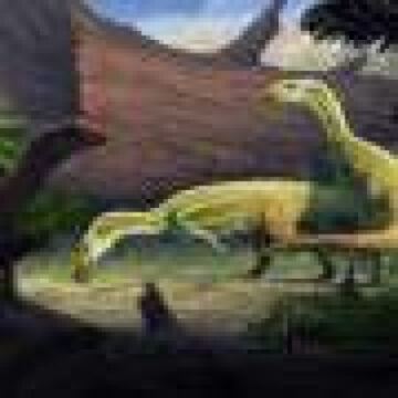 ‘Peculiar’ crocodile ancestor started life on four legs before learning to walk on two