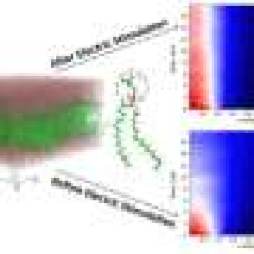 cell-membranes-may-store-memories-after-electrical-stimulation.jpg Cell membranes may store memories after electrical stimulation
