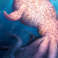 65-foot-long octopuses ruled ancient oceans