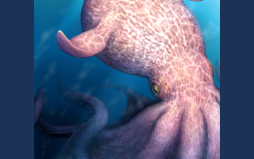 65-foot-long-octopuses-ruled-ancient-oceans.png 65-foot-long octopuses ruled ancient oceans