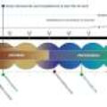Three billion years ago, Earth’s life relied on a rare metal
