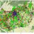 Who reports wildlife the most? 300,000 citizen science records uncover participation bias