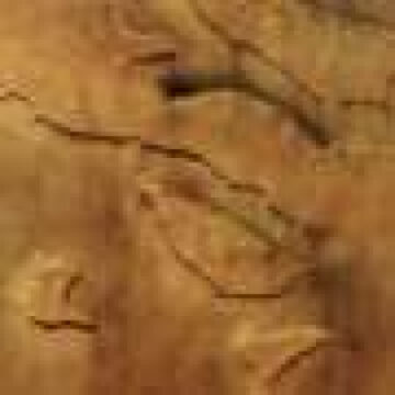 Mars express captures dozens of dust devils in Mars valley
